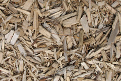 biomass boilers Birleyhay